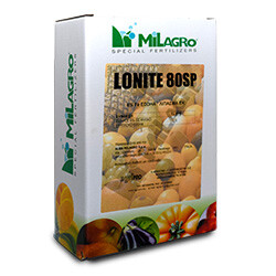LONITE 80 SP